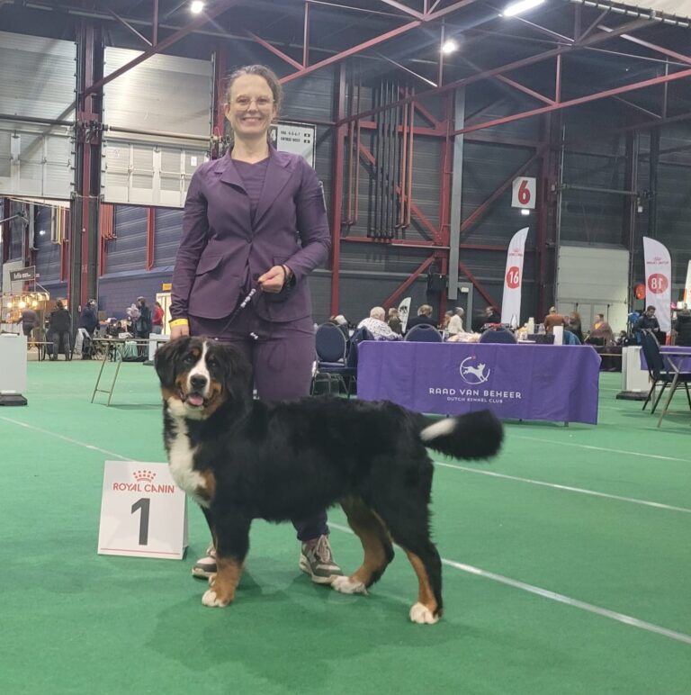 Dutch Winner Best Puppy Parel