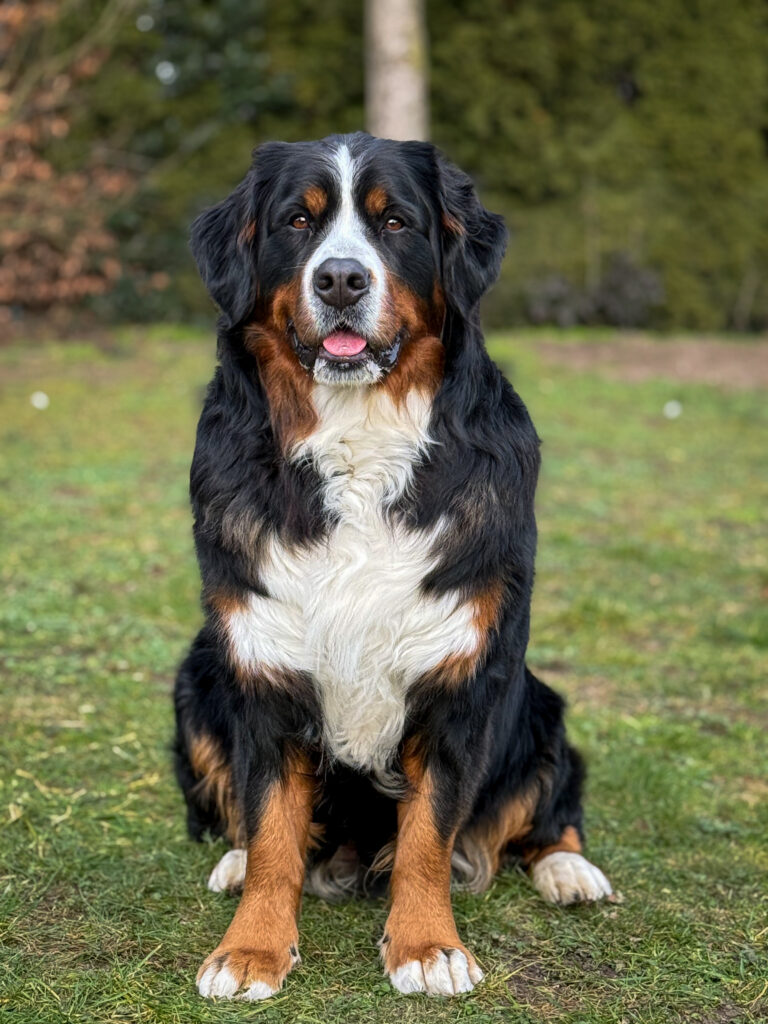 Parel 2 jr 8 maanden